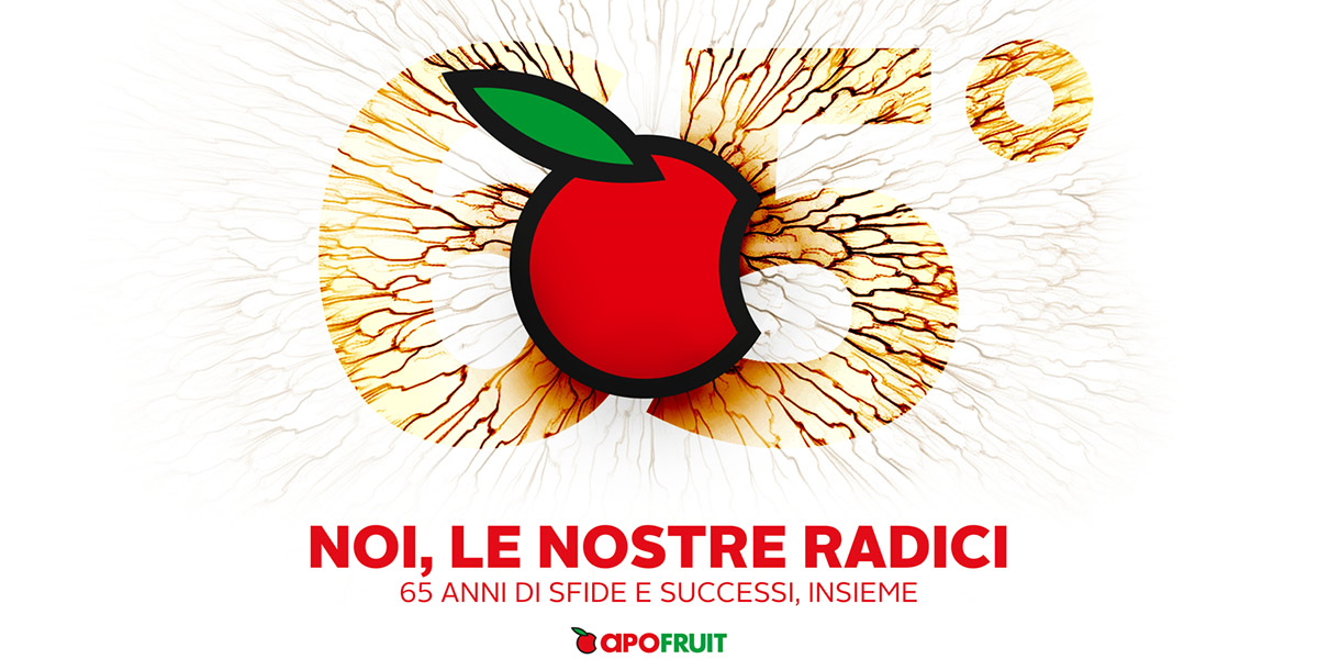 Macfrut 2025, tappa speciale per i 65 anni di Apofruit